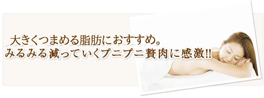 大きくつまめる脂肪におすすめ