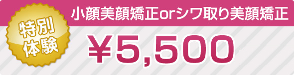 小顔美顔矯正orシワ取り美顔矯正 ¥5,500