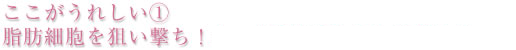 ここがうれしい① 脂肪細胞を川い撃ち!