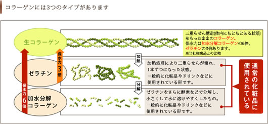 コラーゲンの3つのタイプ