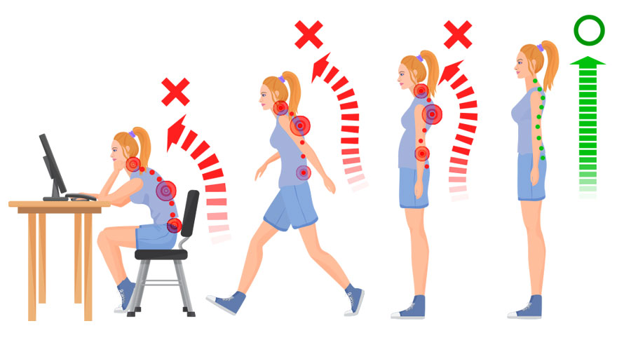 骨盤の位置は人間にとって非常に重要です。