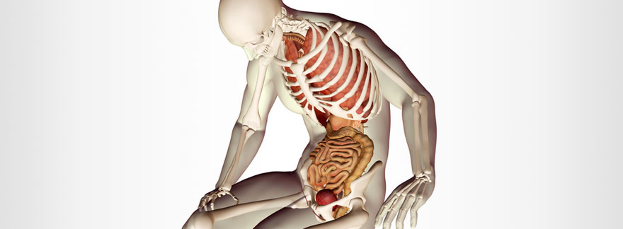 過食によって下垂した内臓の重み。