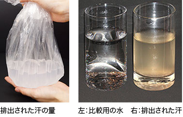 皮脂腺からの汗を徹底的に排出