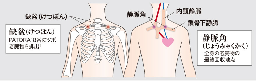 ②全身代謝を上げる！頚椎の付け根、欠盆（けつぼん）と言われる最も身体に重要なツボの部分を刺激02