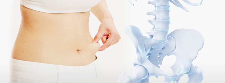 骨盤と基礎代謝量