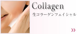 生コラーゲンフェイシャル